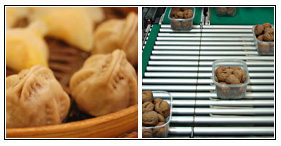 Multi-channel sorter
