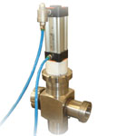 Pneumatic rejection valve